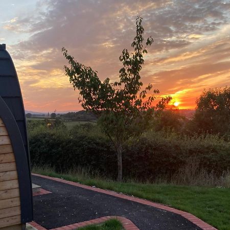 Rabbit Glamping Pod School House Farm Hotel Leighton  Luaran gambar